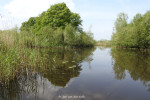 Noord Meer