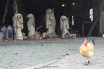 Kerststal Hoeve Springendal