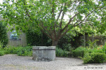 Kruidentuin achter Middendorpshuis