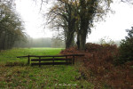 Holthuis