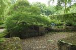 tuin theehuis De Karmeliet