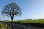 Aan de Almeloseweg