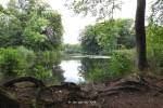 Bij de grote bronvijver in het Springendal