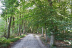 Mosbeekweg