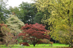 Arboretum Poortbulten