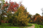 Arboretum Poortbulten