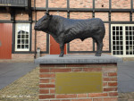 T.g.v. 25 jaar St. Vleesvee Commissie Enter