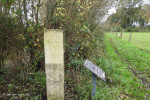 markesteen Reggepaal