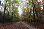 Wiedicksbeekweg
