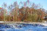 Buurserzand