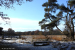 Buurserzand