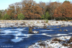 Buurserzand