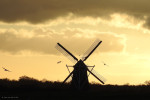 Eschmolen