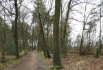 pad langs de grens