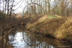 Lankheet