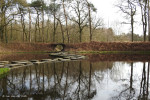 Lankheet