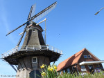 Borgelinkmolen