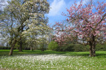 Kalheupinkpark