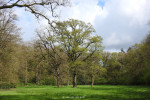 Elsbeek